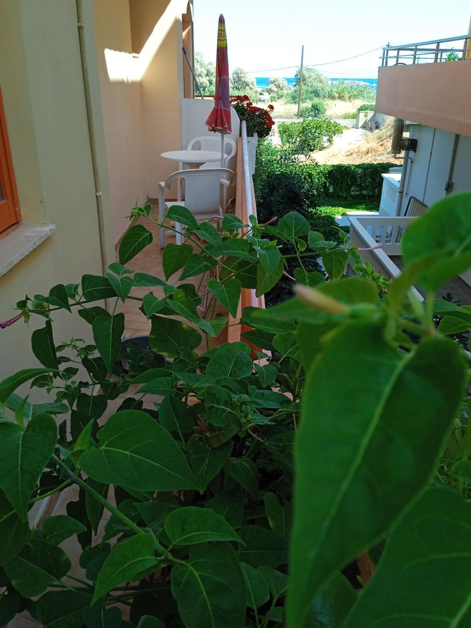 Ilona Apartments Chania Kato Daratso Kamer foto