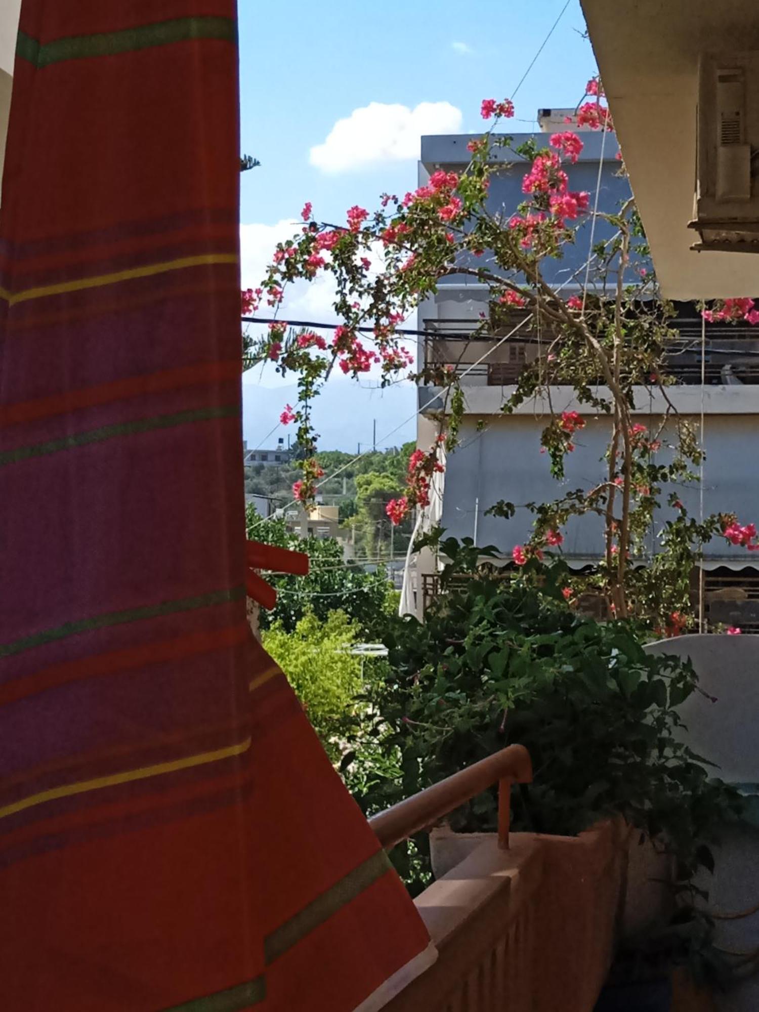 Ilona Apartments Chania Kato Daratso Kamer foto