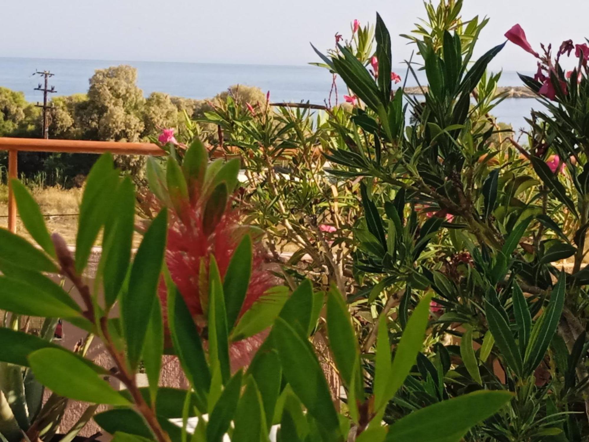 Ilona Apartments Chania Kato Daratso Kamer foto