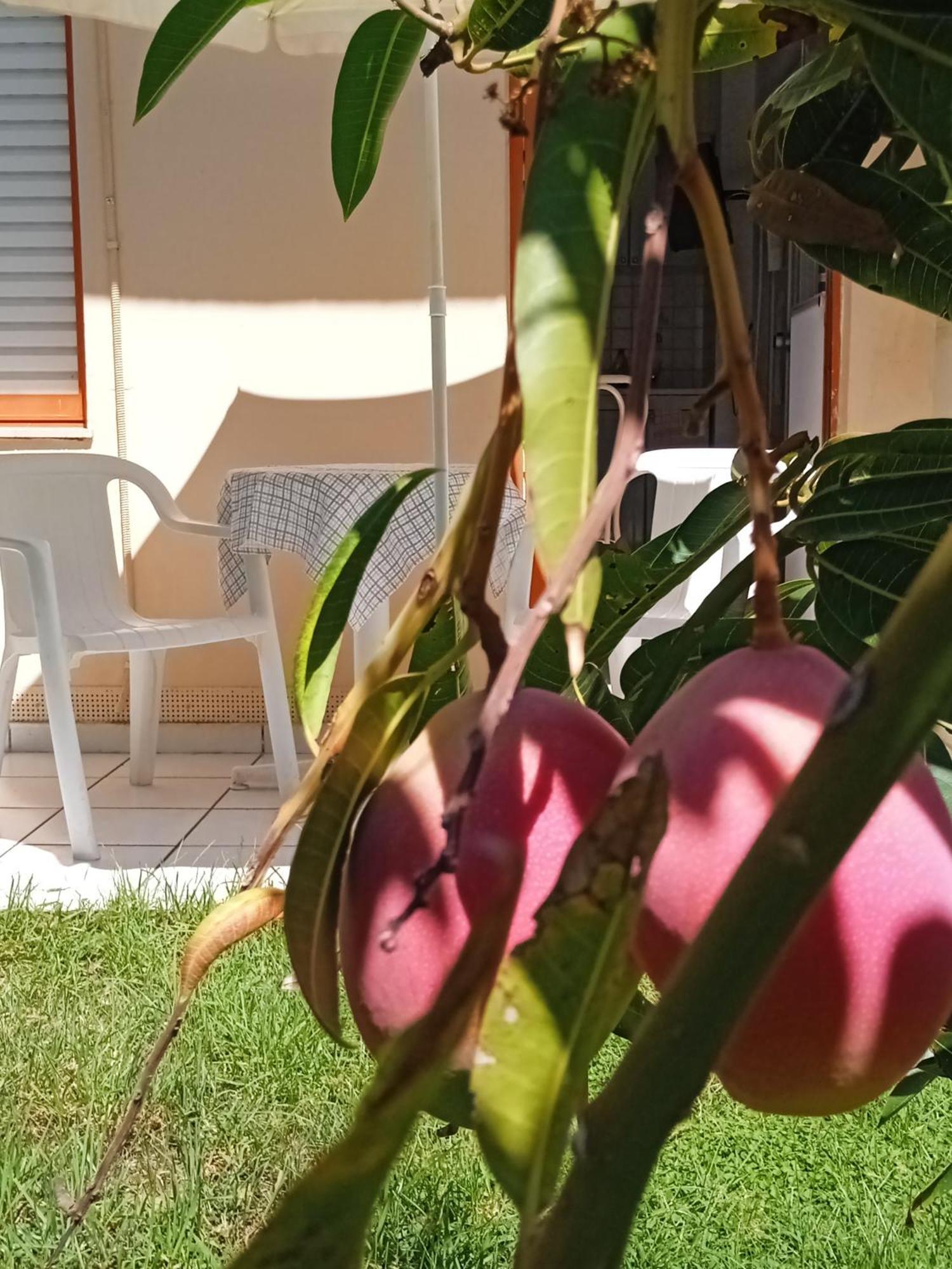 Ilona Apartments Chania Kato Daratso Kamer foto